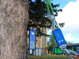 TRU樹木雷達、Picus 3和TreeQinetic樹木拉伸測試儀落戶長春市園林植物保護站