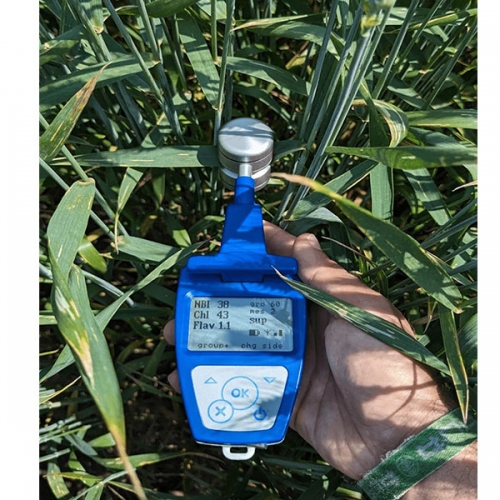 Dualex植物葉綠素&多酚測(cè)量?jī)x